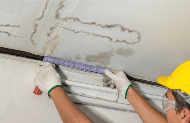 Reliable Mold Remediation contractor in Polkville, NC by Water Damage Irwin